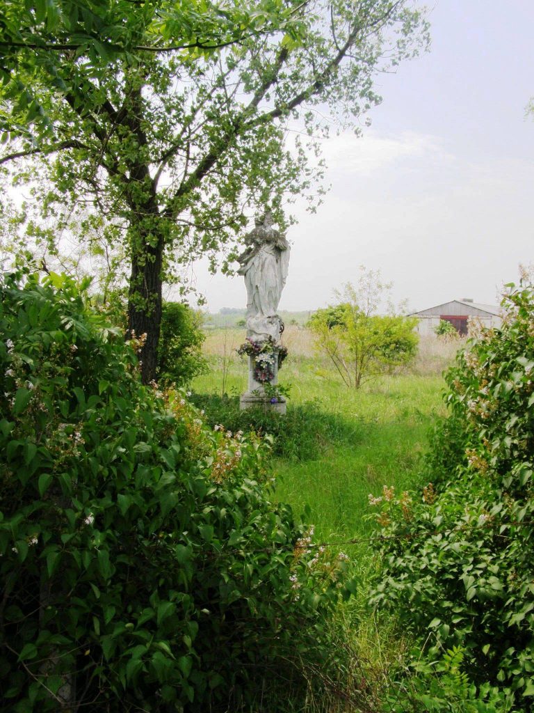 Szűz Mária szobra, Nagyszarva (Foto: Liszka József, 2011)