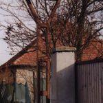 Harangláb – Macháza [Macov]