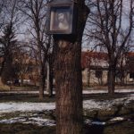 Képes fa – Kürt [Strekov]
