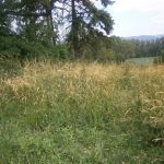 Kereszt – Tornahorváti [Chorváty]